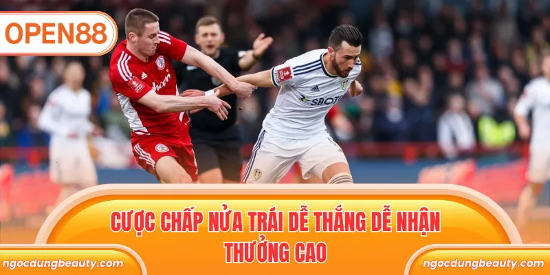 Cược chấp nửa trái dễ thắng dễ nhận thưởng cao