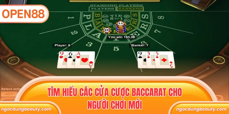 Tìm hiểu các cửa cược Baccarat cho người chơi mới